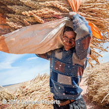 0453-ide-bo-04_Bolivia_Quinoa_liten.png